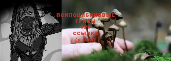 MESCALINE Алзамай
